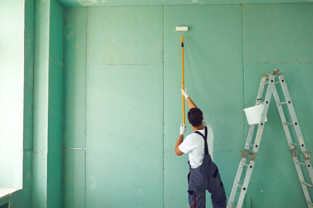 Best Mold Remediation for Healthcare Facilities  in Morton Grove, IL