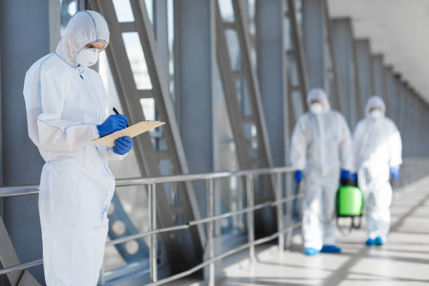 Asbestos and Lead Testing During Mold Inspection in Morton Grove, IL