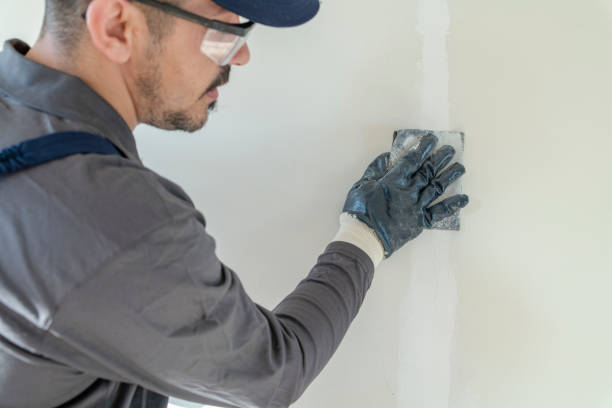 Best Forensic Mold Investigation  in Morton Grove, IL