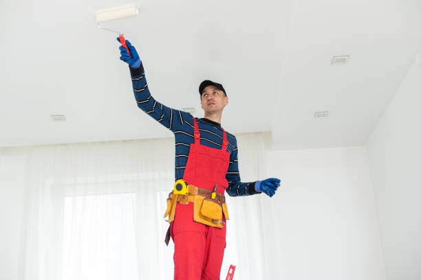 Best Crawl Space Mold Remediation  in Morton Grove, IL