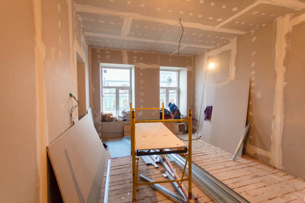 Best Attic Mold Removal  in Morton Grove, IL